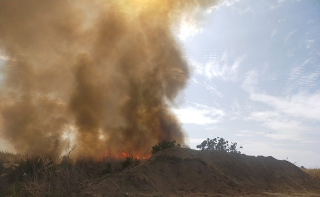 Industrial units evacuated after fire breaks out near Motril's iconic Ron Montero factory