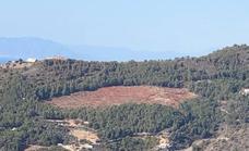 Controversy over felling of 40,000 square metres of woodland in Cerro Gordo in order to grow subtropical crops