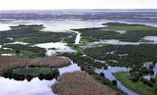 Brussels reiterates its cultivation and water concerns in Doñana