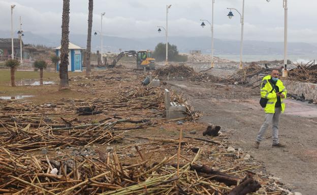 Costa del Sol Tourist Board's head wants the Malaga coastline to be declared a disaster zone