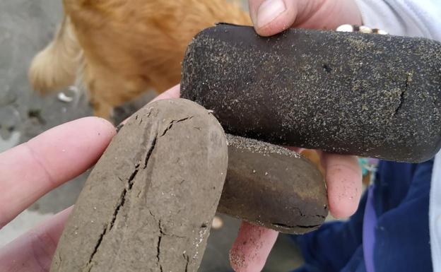 Dogs poisoned by hashish washed up on Marbella beaches by the storm