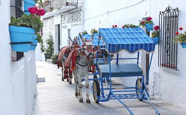 A Mijas scene that is featured on the campaign's website. 