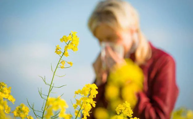 People with allergies to grass and olive pollens suffer at this time of year. /sur