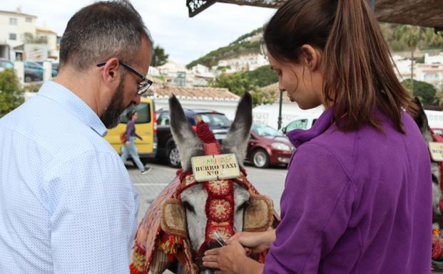Veterinary surgeon María Bross checks one of the donkeys. /SUR