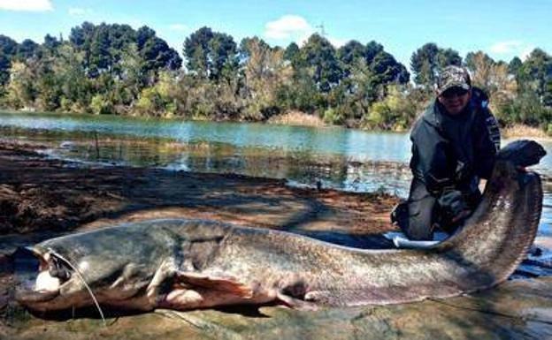 Sergio Rodríguez poses with the giant catfish which he fished in the Ebro. /S. RODRÍGUEZ