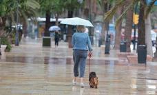 The rain returns to Malaga province this Tuesday, with two yellow warnings in place for storms