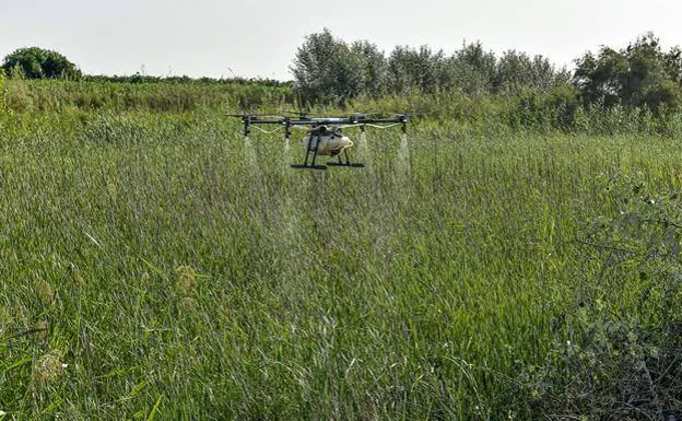 Drones are used to fumigate areas with large mosquito populations /SUR