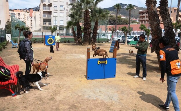 Pets try out the new agility equipment at Almuñécar's third dog park 