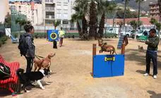 Almuñécar officially opens its third dog park