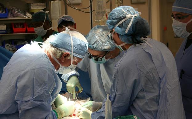 Number of organ transplants in Spain has almost returned to pre-pandemic levels