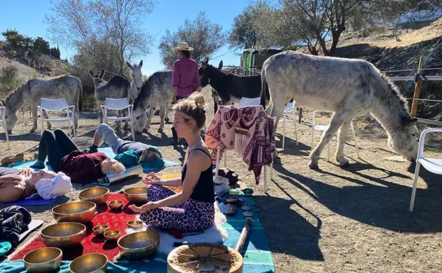 During a unique sound healing session at Donkey Dreamland. 