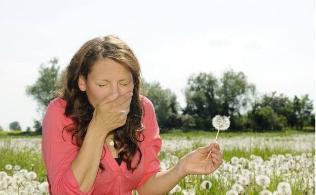 This is the worst time of year for hay fever sufferers in Malaga due to the high concentration of pollen