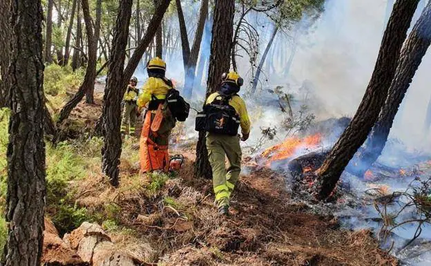 Forest fire fighters at the Jubrique blaze last summer. /infoca