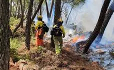 Infoca fire-fighting plan starts in Andalucía with the prospect of a “quite busy” summer ahead