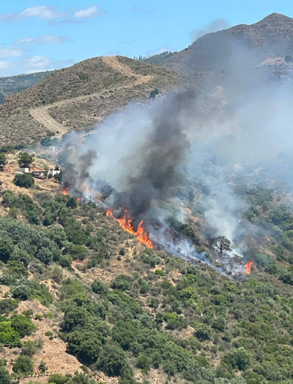 Image of the forest fire declared this Saturday in Marbella 