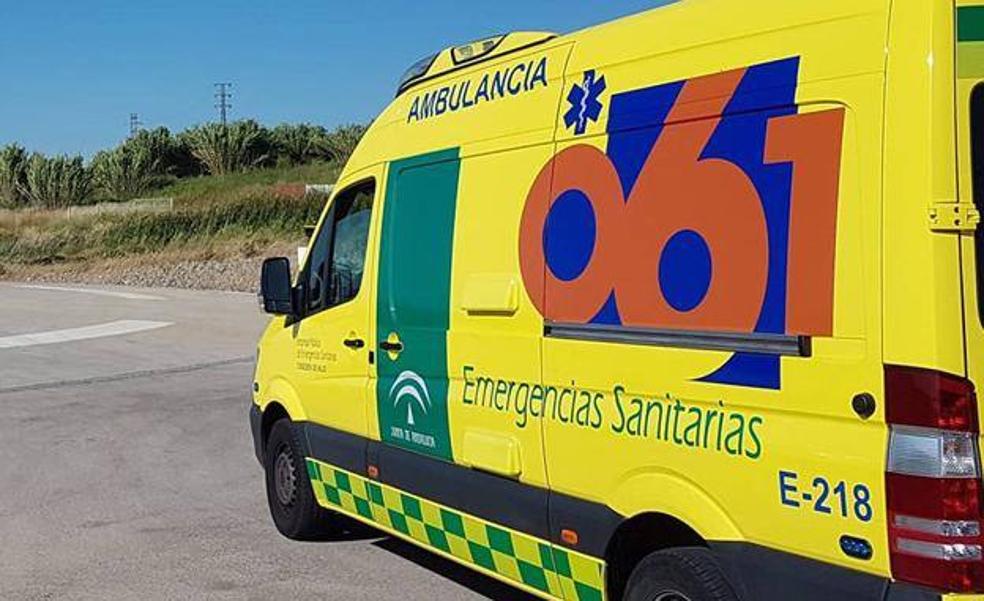 Guardia Civil investigate driver for reckless homicide after car smashed into tree in Antequera