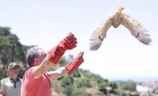 Five rescued owls returned to the wild on World Environment Day