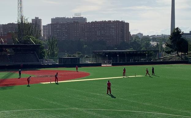 Cricket added to list of activities for Madrid World Capital of Sport 2022