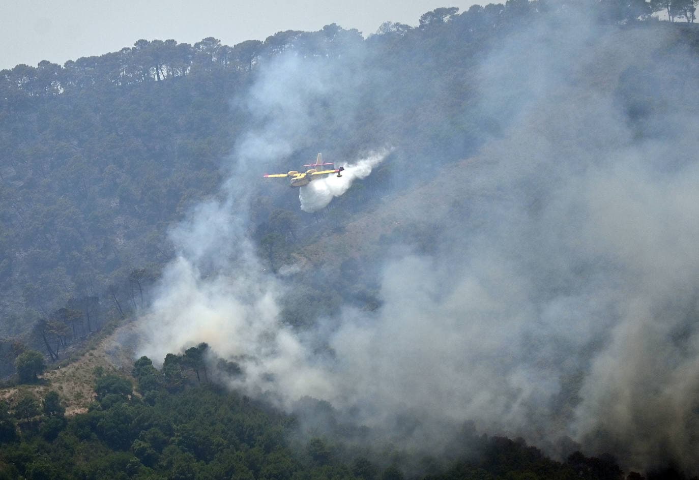 High winds complicate the control of the Pujerra forest fire