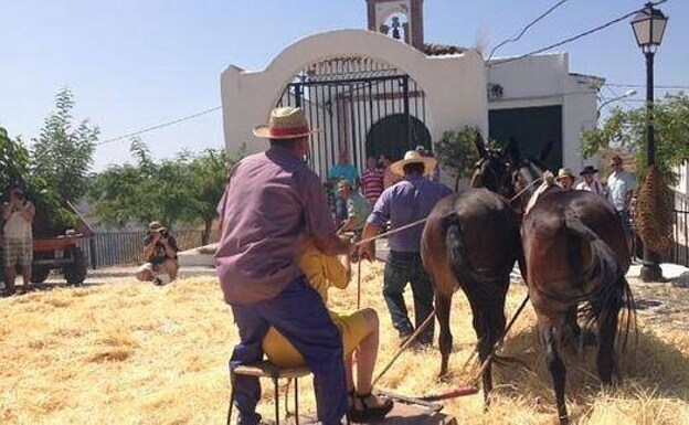 A threshing demonstration at a previous festival in Sedella /SUR