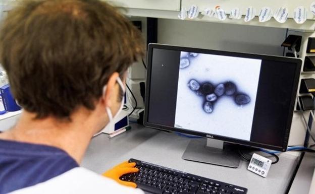 Malaga province records 72 confirmed cases of monkeypox virus