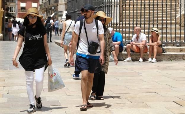 Tourists in Malaga city centre /francis silva