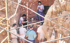 8 July 1994: Dig reveals remains of last common ancestor of modern humans