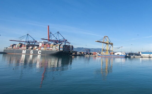 Container ship moored at quay 9 in Malaga Port/FRANCIS SILVA