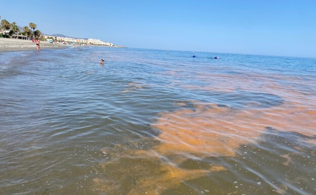 Discoloured water caused by microalgae on Nerja´s El Playazo. /E. CABEZAS