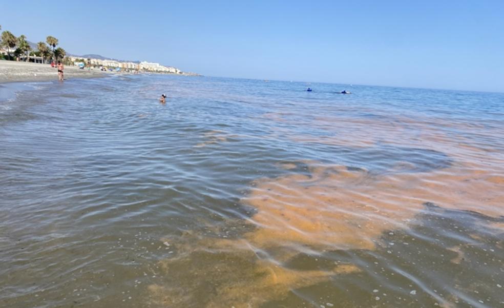 Harmless orange algae returns to Axarquía coastline