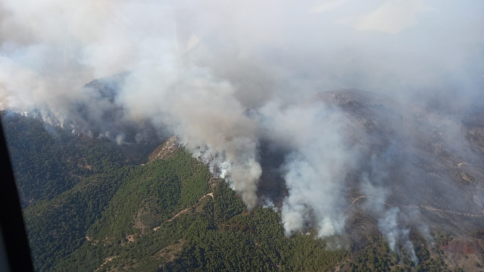 Photograph of the Alhaurín el Grande fire, as seen from the air.