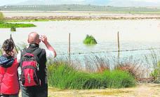 Andalucía is promoted at major birdwatching fair in UK