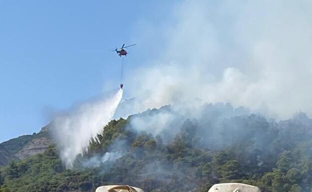 Alhaurín el Grande fire is declared 'controlled' by Infoca forest fire brigade