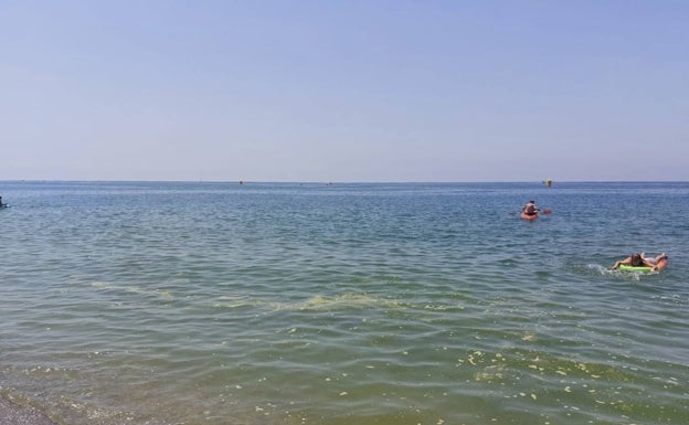 Green patches return to Costa Tropical beaches