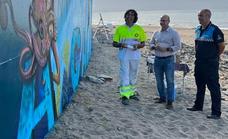 Mijas to make beaches more attractive with series of colourful murals