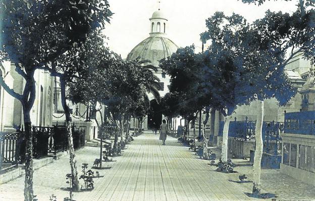 29 July 1804: Yellow fever outbreak explodes across Malaga