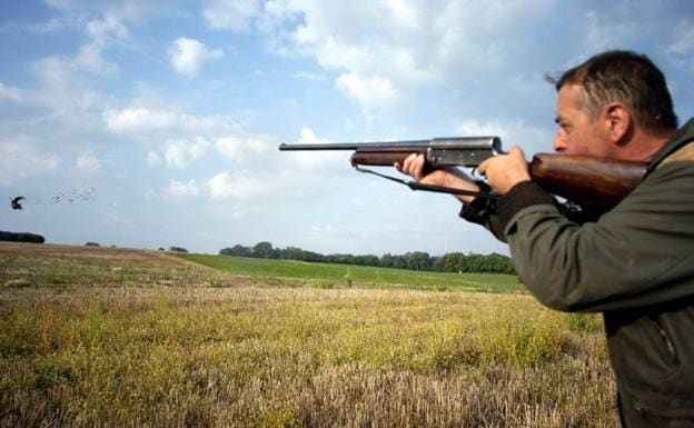 Pigeon shooting will become illegal. /AFP