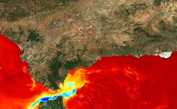 Why is the sea so warm on the Costa del Sol this summer, and does it matter?