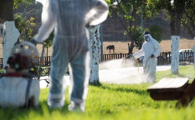 Fumigation being carried out in Seville in 2020. 