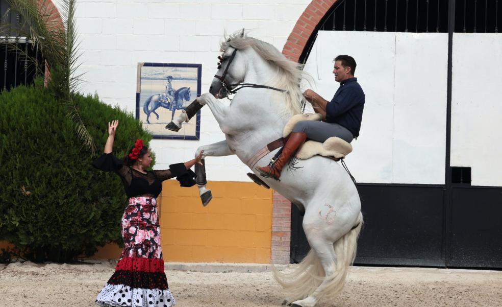 Sevillanas with an equestrian air