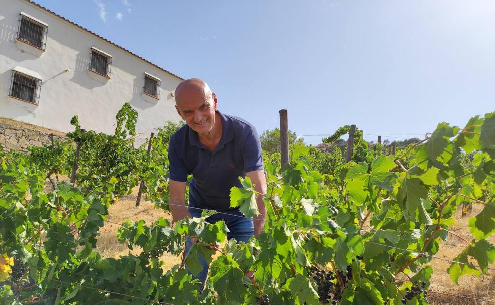 Bruno Laureys, loving life as a wine producer in Spain. /SUR
