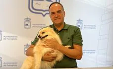 Fuengirola to continue free animal adoption programme due to rise in abandoned pets throughout the summer
