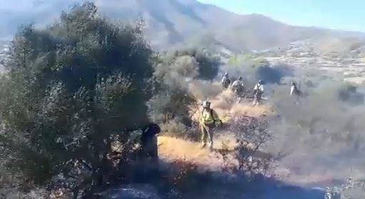 A-7 reopened in both directions as forest fire in Estepona is declared 'stabilised'
