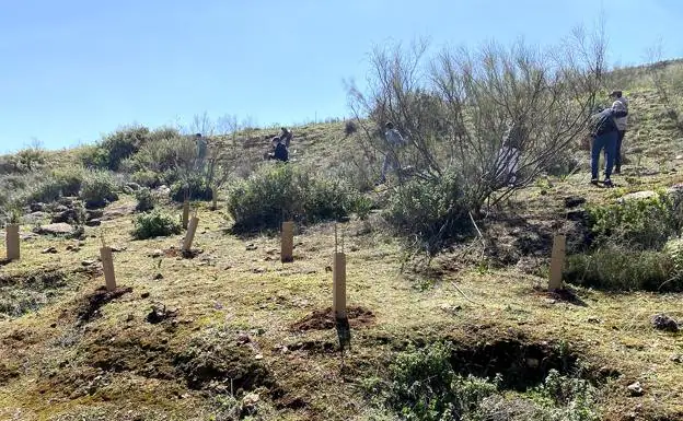 An example of the type of land which could be used for reforestation. /sur