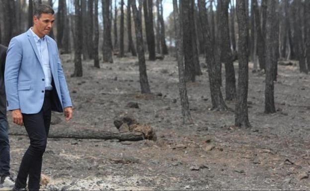 Areas of Spain affected by major wildfires are to be classified as disaster zones