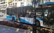 Marbella reduces the price of a monthly bus pass and rechargeable cards by 30 per cent