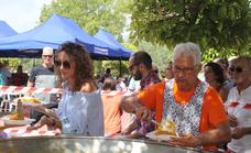 Alhaurín de la Torre welcomes return of its popular Verbena festival