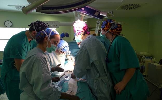 An organ transplant at Malaga's Regional Hospital. /sur