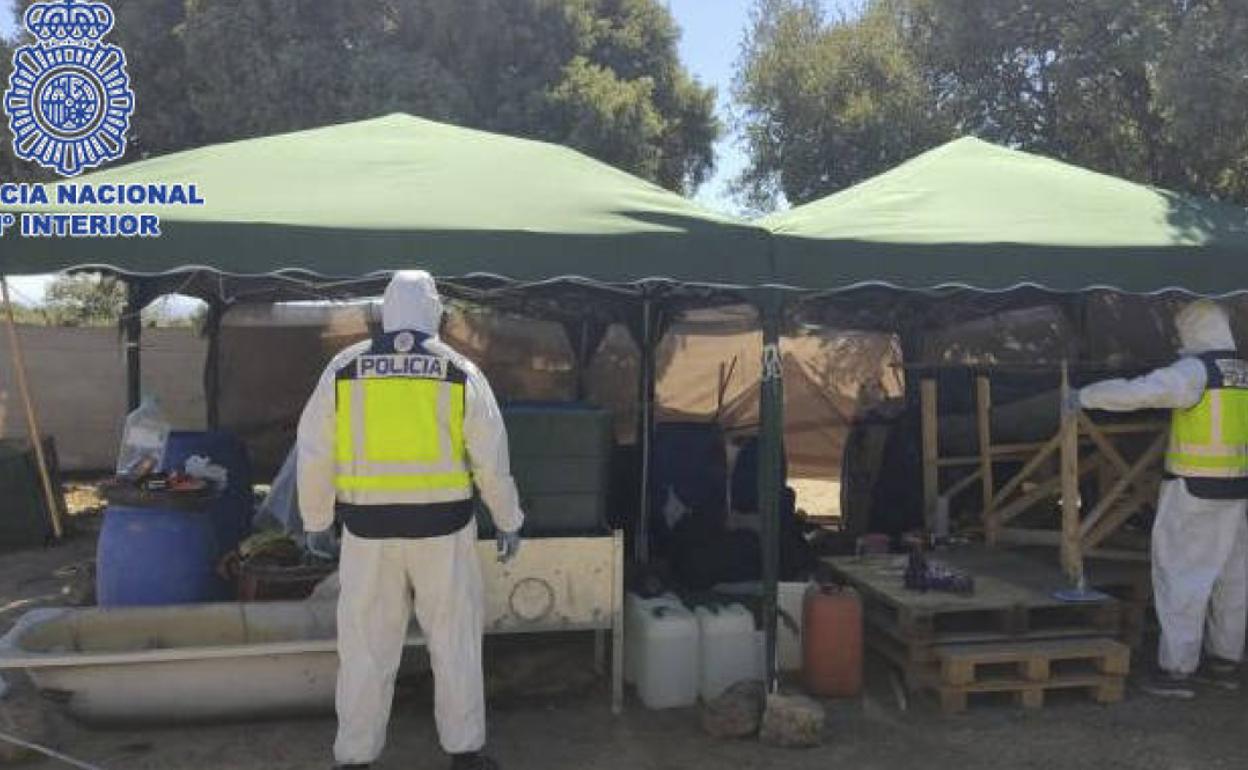 Twelve arrested as police raid Spain's first South American style cocaine laboratory