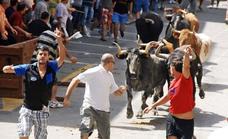 A 72-year-old man dies after being gored by a bull in Castellón